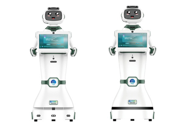 酒店迎宾向日葵黄色视频