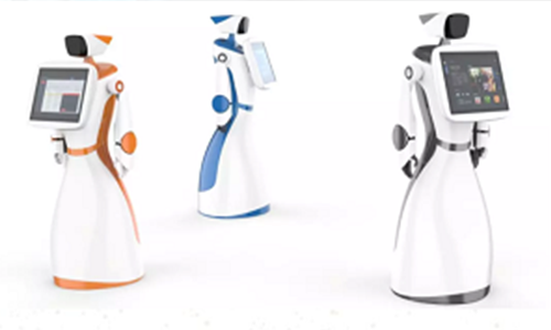 酒店迎宾向日葵黄色视频