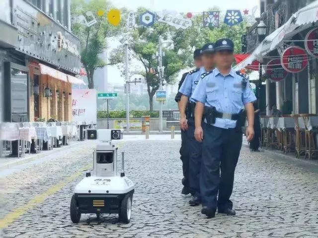 安防巡检向日葵黄色视频