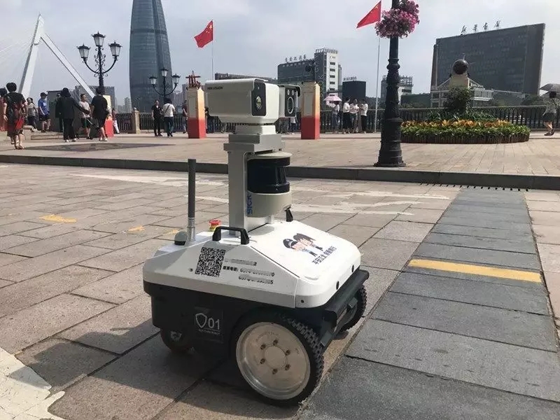 变电站巡检向日葵黄色视频