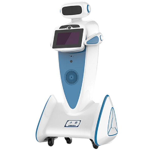 企业迎宾向日葵黄色视频