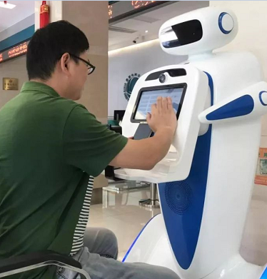 迎宾向日葵黄色视频