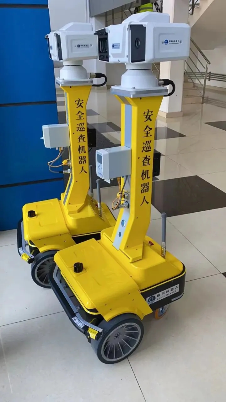 巡检向日葵黄色视频